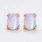 Natural Moonstone 4-Prong Stud Earrings